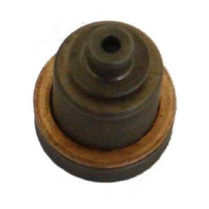 Fuel Pump Delivery Valve